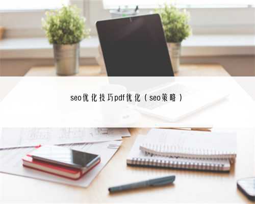 seo优化技巧pdf优化（seo策略）
